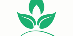 منظمة عطاء